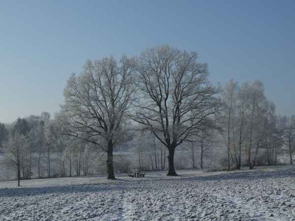Winterreif im Odenwald, Serie 2
