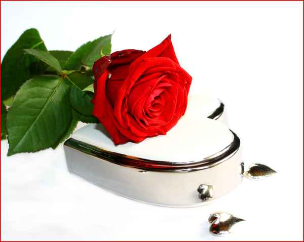 ROSENDUFT ZU VALENTIN  IV