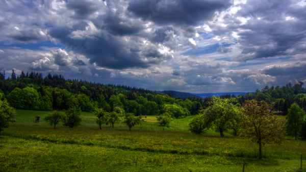 im Odenwald