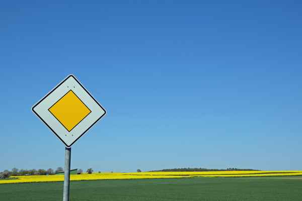 Der Sommer hat Vorfahrt