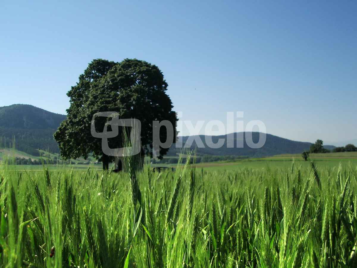 ..am Land
