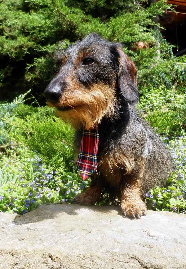 Hab mich fein gemacht