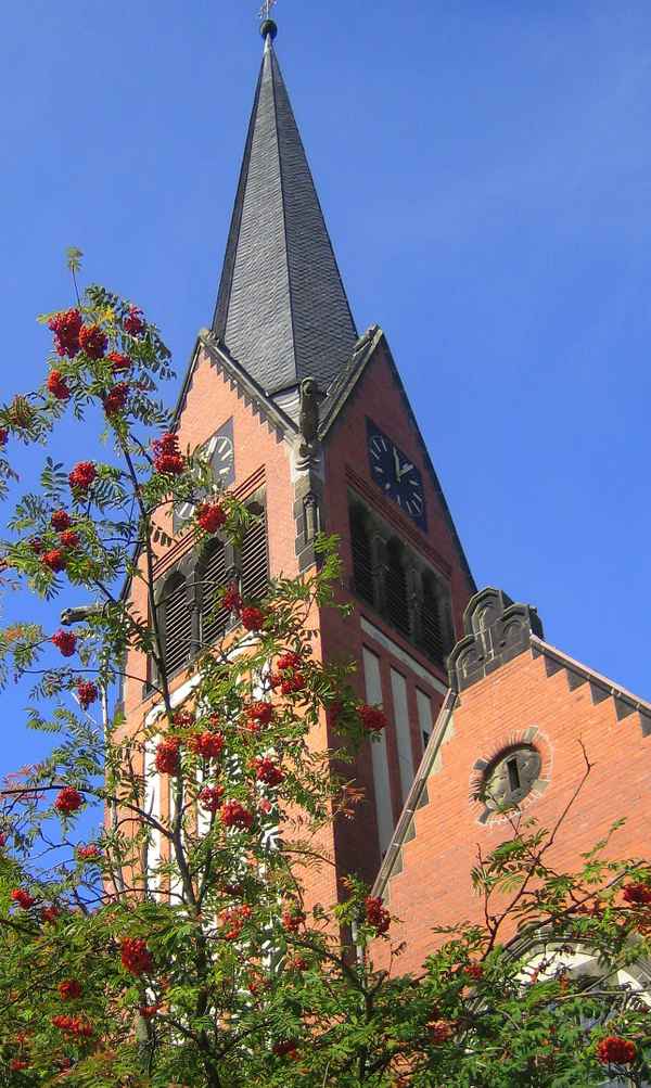 Vogelbeeren 3