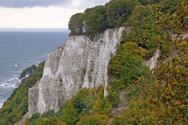 Kreidefelsen am Königsstuhl auf Rügen