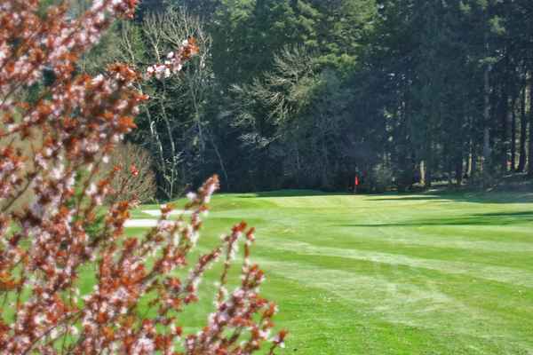 Golf im Frühling