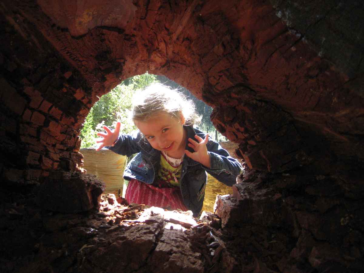 Blick durch einen Baumstamm