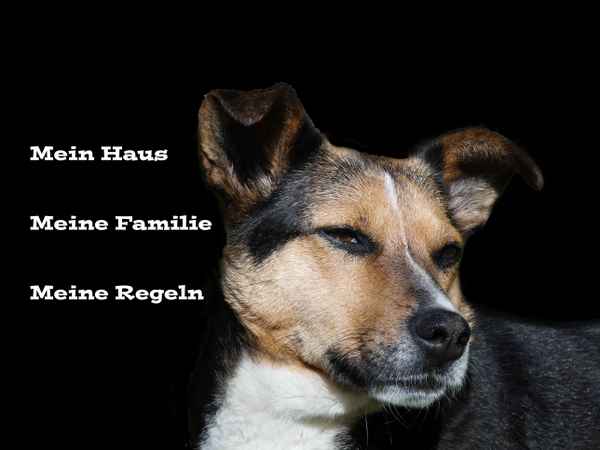 Ich passe auf