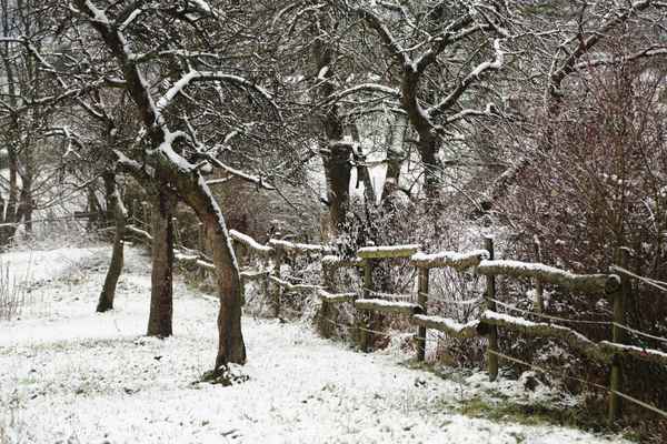 Streuobstwiese im Winter