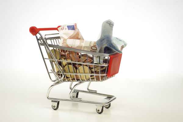 Einkaufswagen mit Geld
