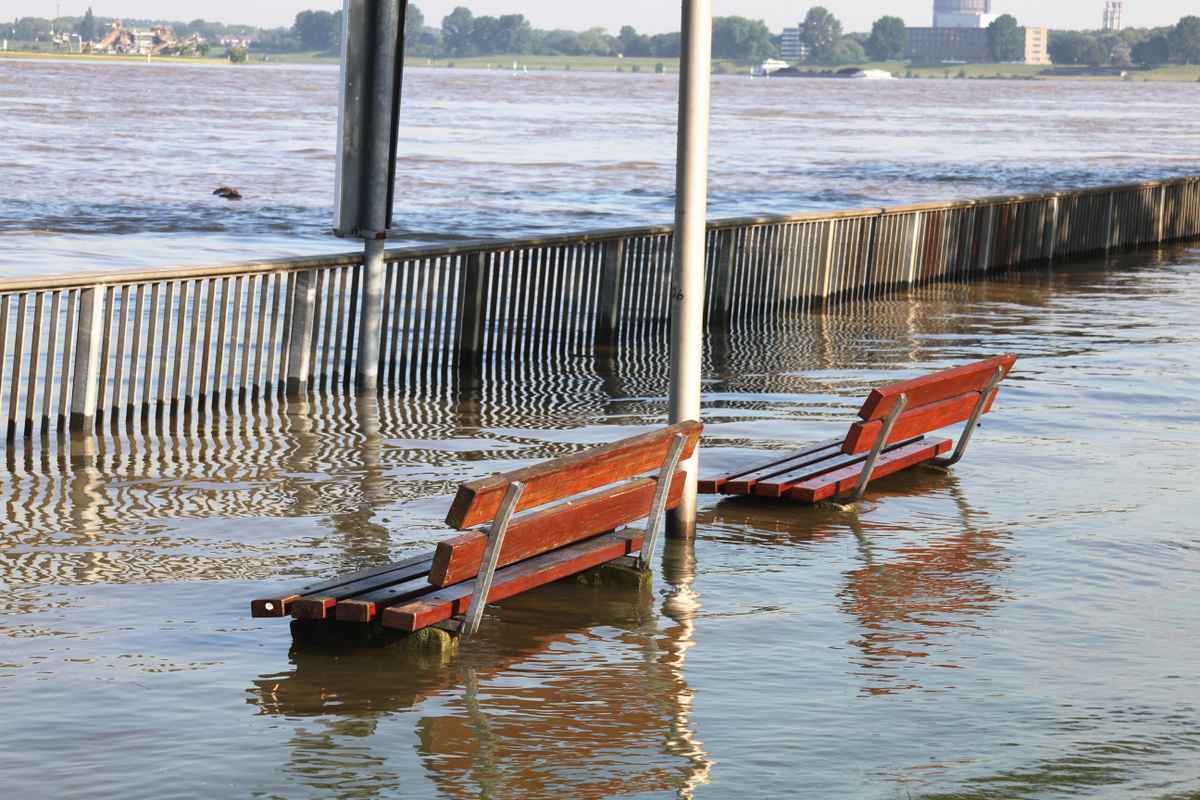Hochwasser am Rhein