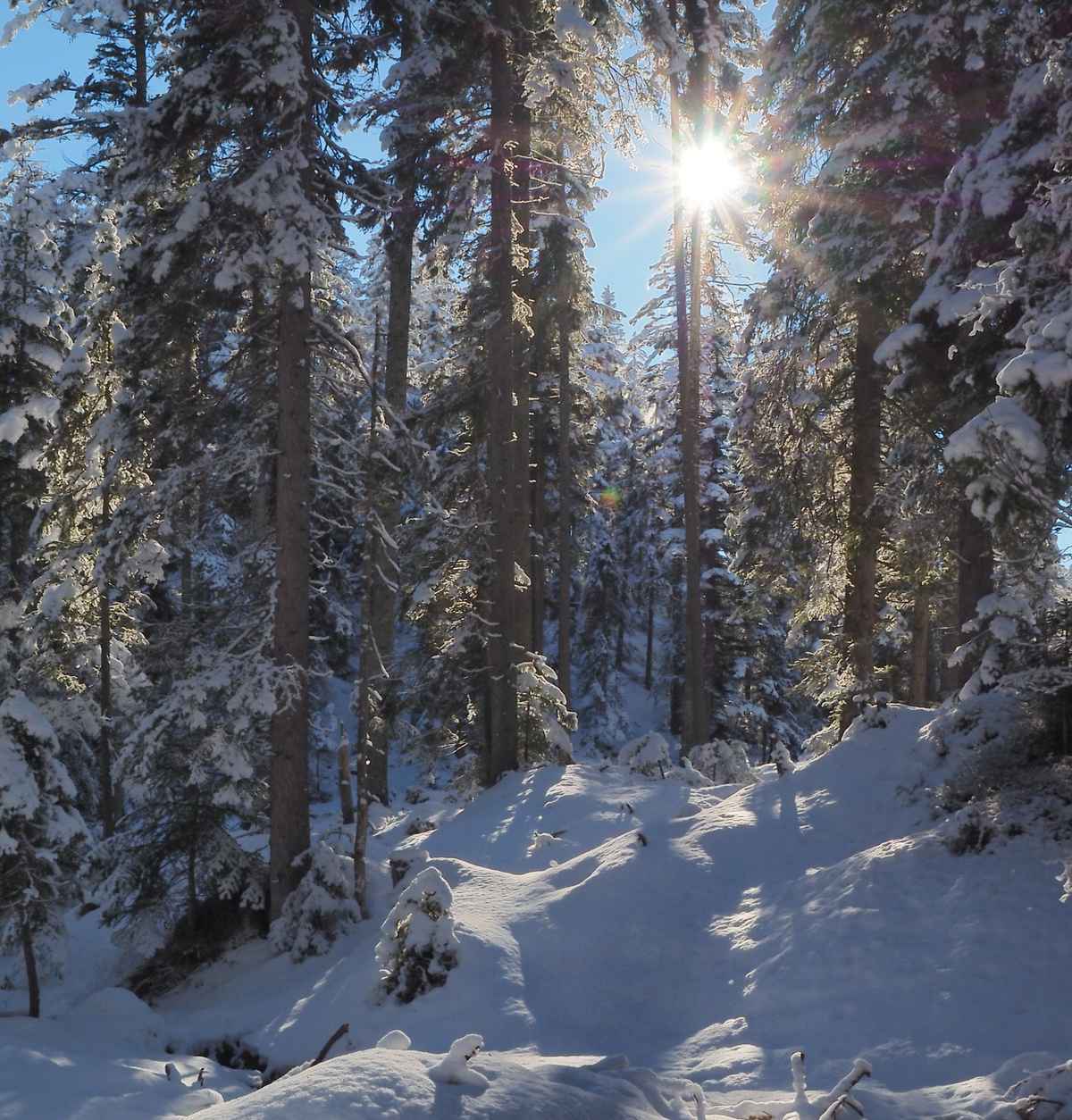 winterstimmung