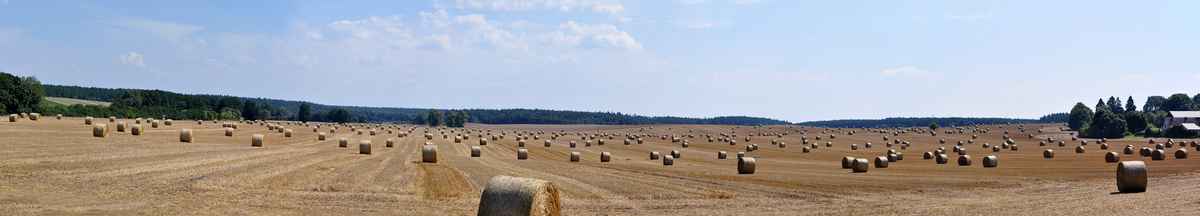 Riesenrollen auf Riesenfeldern