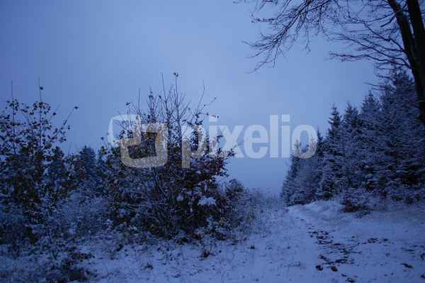 Der erste Schnee