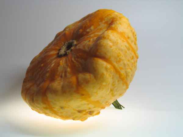 Kürbis V