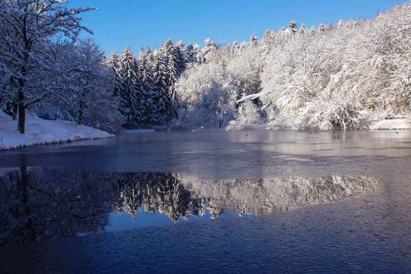 Waldsee mit Eis und Schnee