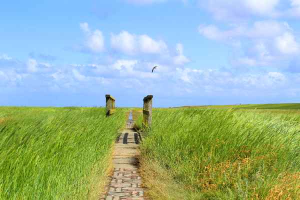 DER STOCKENSTIEG I