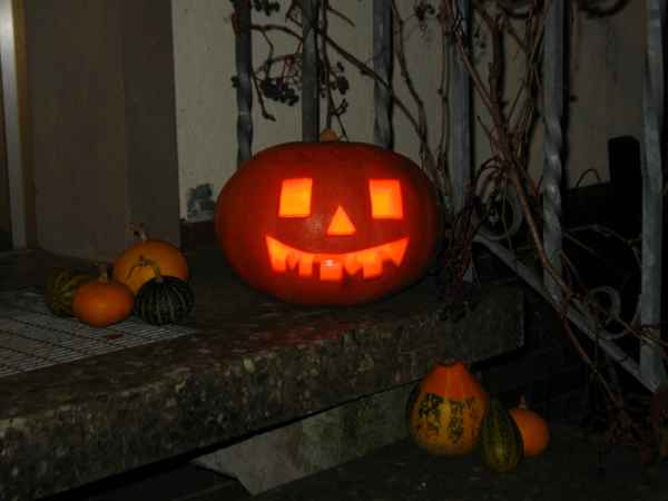 Kürbis Halloween