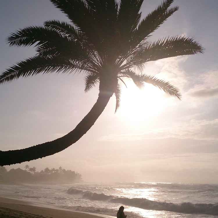 Allein am Strand