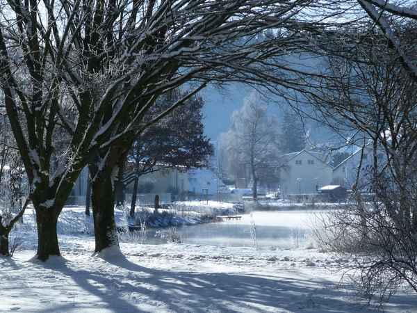 Wintermorgen am See 1