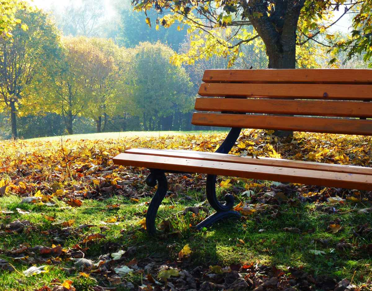 Ruhepause in der Herbstsonne