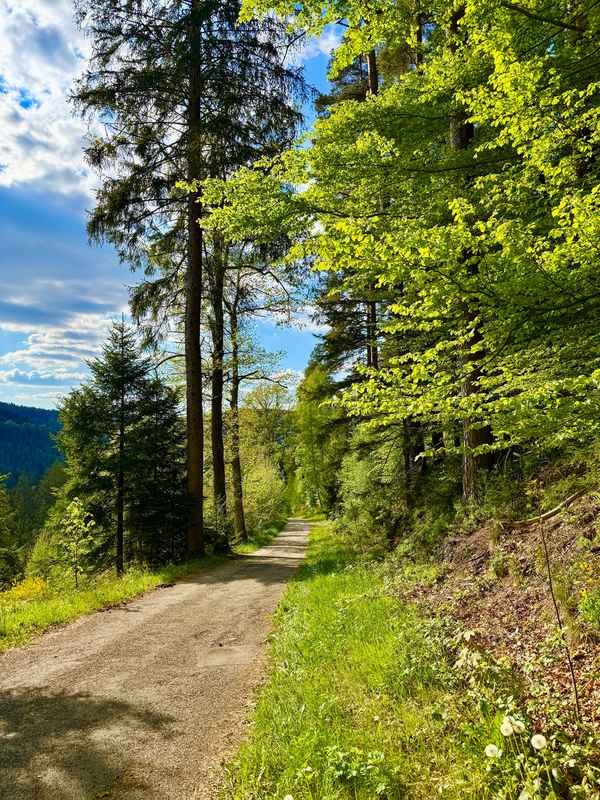 Wanderweg talwärts