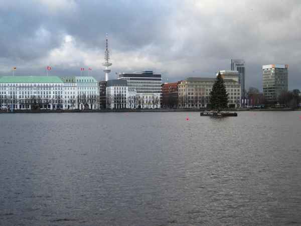Weihnachtsbaum auf der Alster