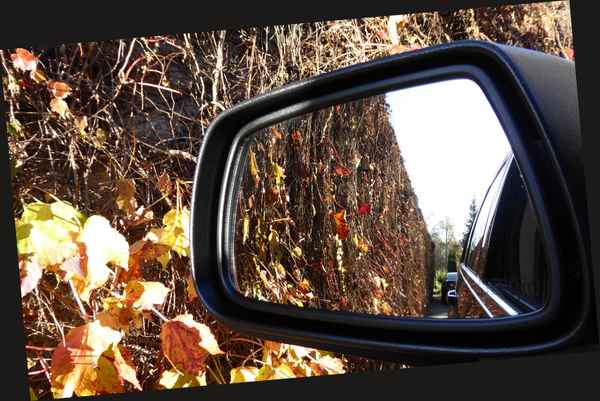 Herbst