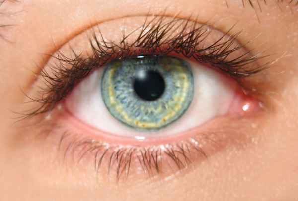 Das Auge