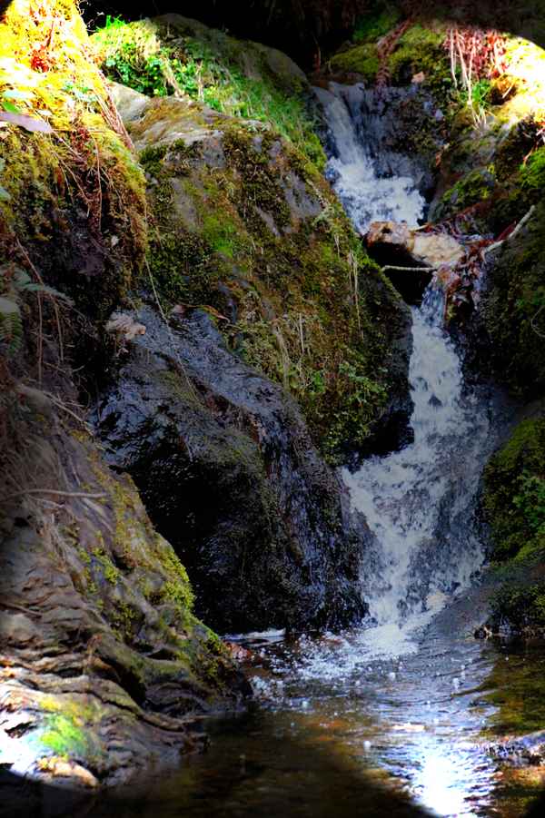 Wildwasser in den Highlands