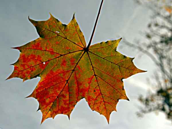 Einmaliges aus Milliarden