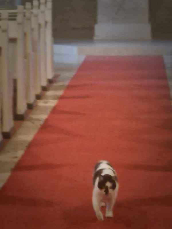 Spaziergang in der Kirche