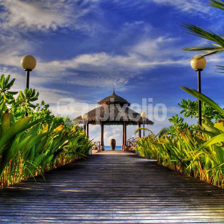 Welcome to Paradise