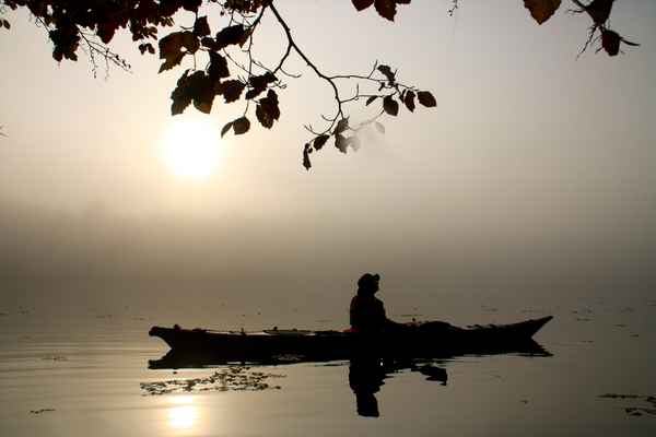Kajak im Nebel