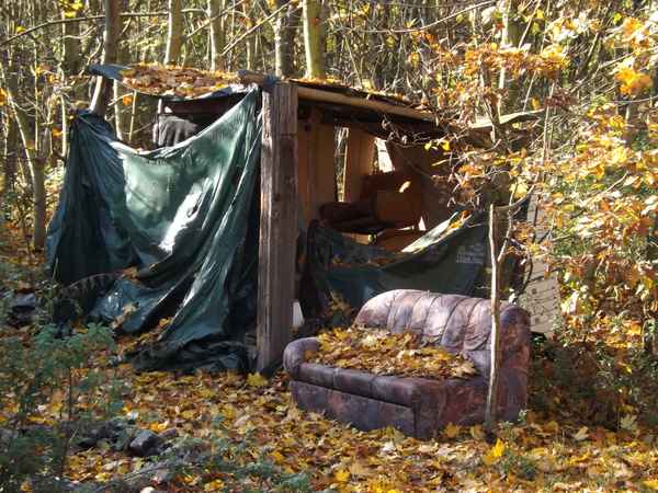 Eine Hütte im Wald