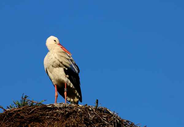 warten auf die liebste