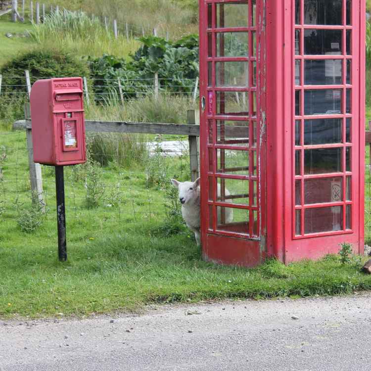 Waiting for your call