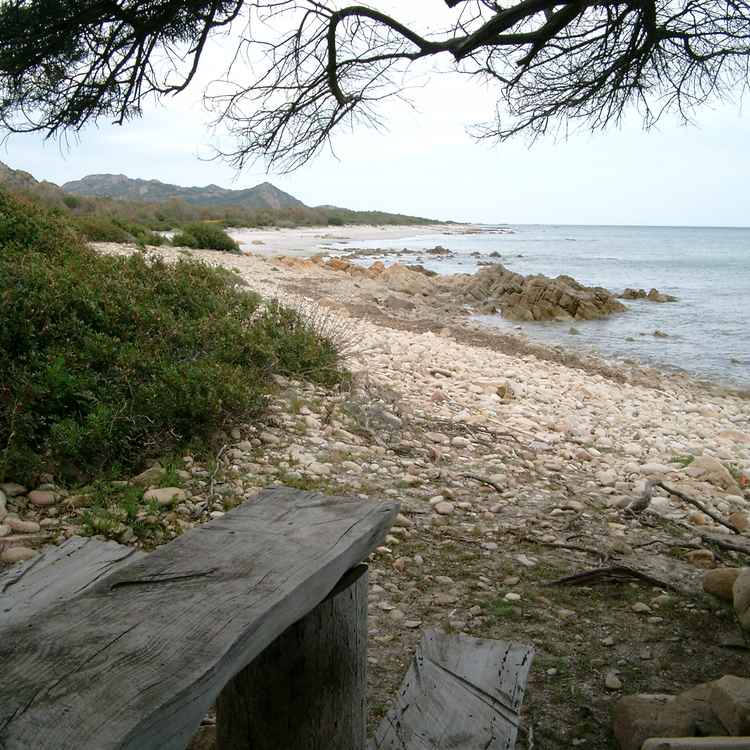 Schattiges Plätzchen am Meer