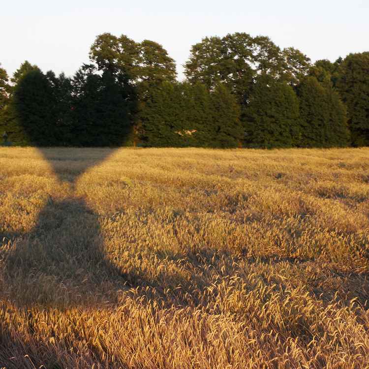 kurz vor der Landung...