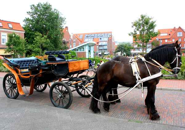 AUTOFREIES JUIST