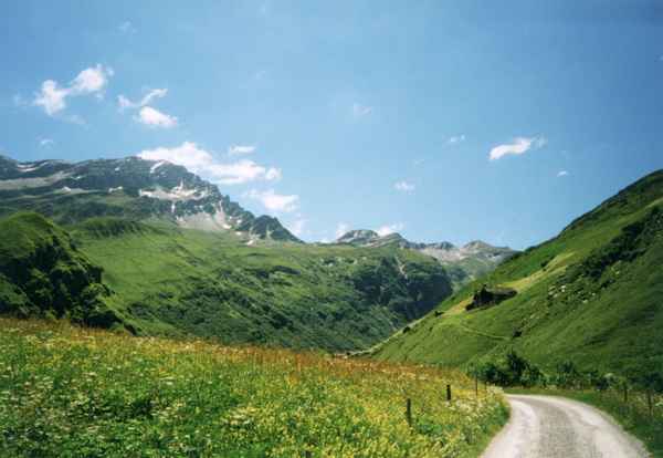 Pfad durch Natur (9600 DPI)