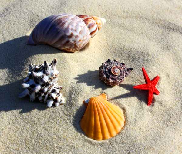 Urlaub am Meer