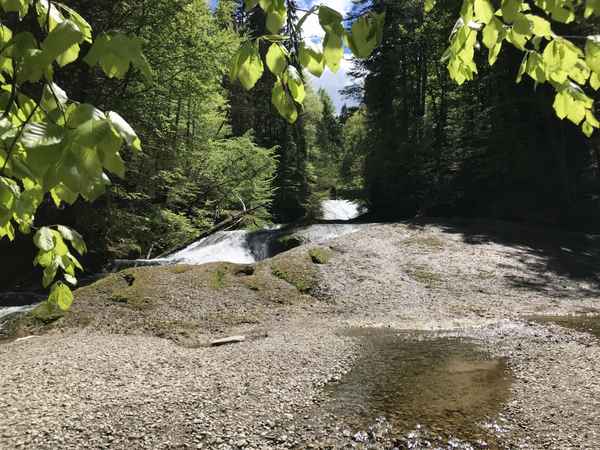 Wasserfall im Eistobel / Foto: Alexander Hauk