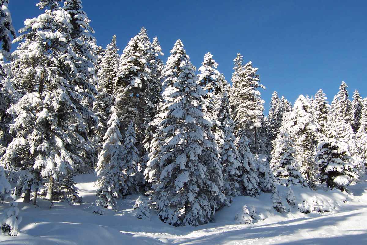 Winter in Österreich