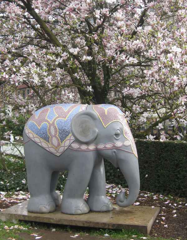 Elefant unter dem Magnolienbaum