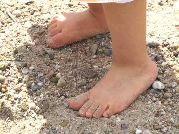 In den Spuren des Sommers