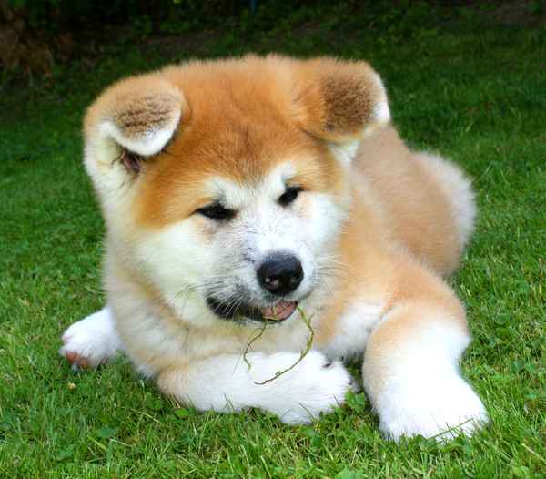 ICH BIN DER NEUE CHEF