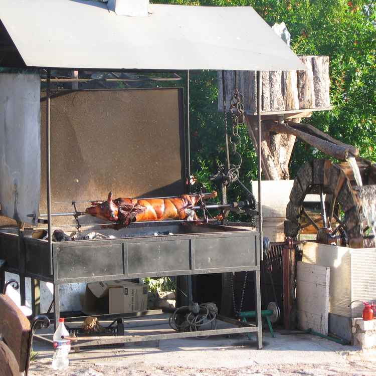 Spanferkel vom Grill