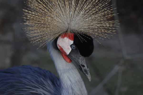 ich bin ja sowas von sauer