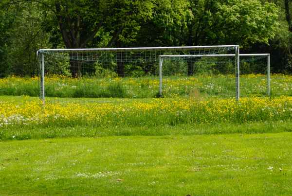 Bolzplatz in blühender Wiese