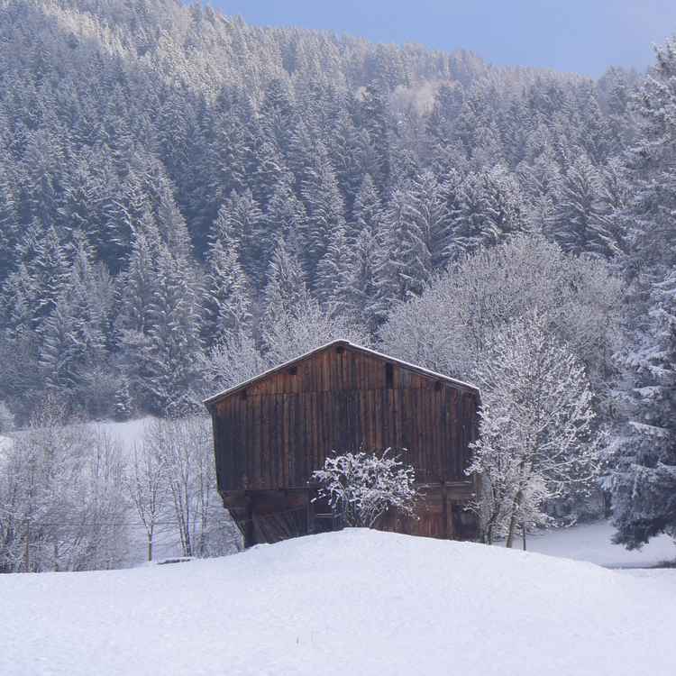 Winter in den Bergen